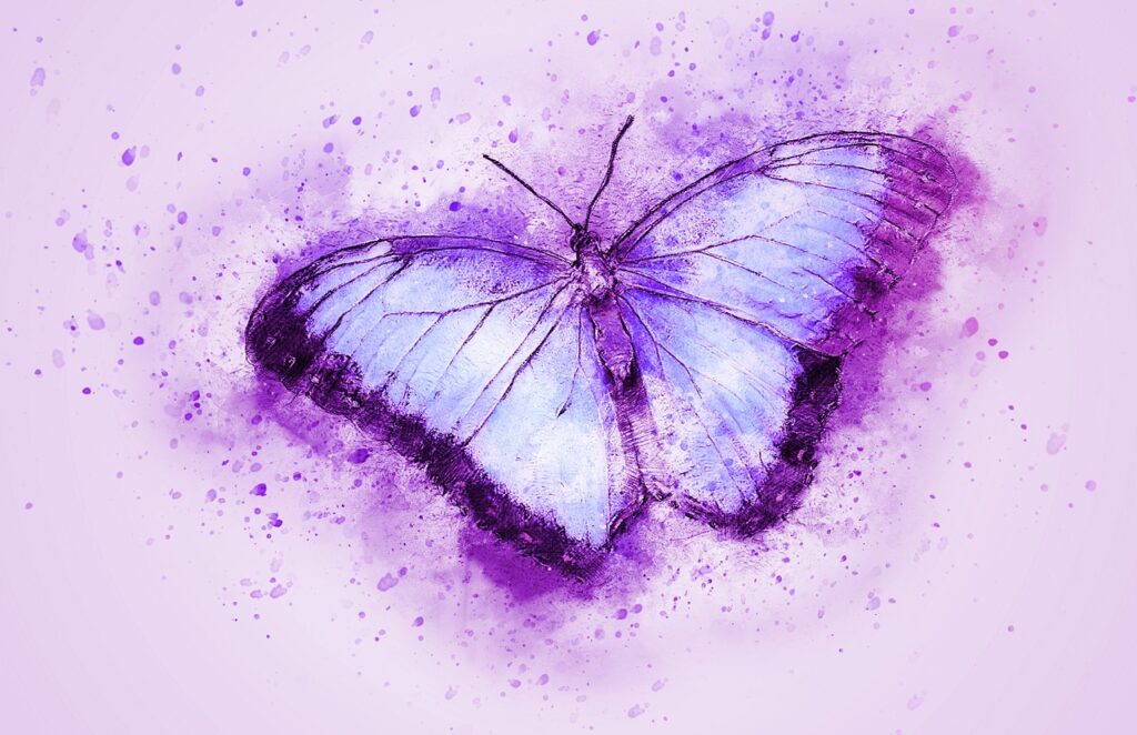 butterfly, insect, flying-2265010.jpg